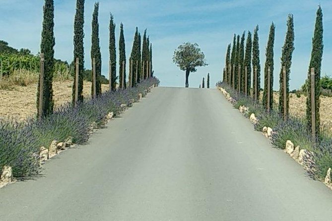 5-Hour Private Sightseeing Tour of the Provence from Marseille in Luxury Car - Who This Tour Fits Best (and Who Might Want a Different Day)