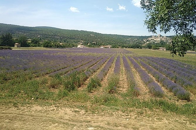 5-Hour Private Sightseeing Tour of the Provence from Marseille in Luxury Car - From Aix-en-Provence’s Pedestrian Center to Cezanne’s Roots