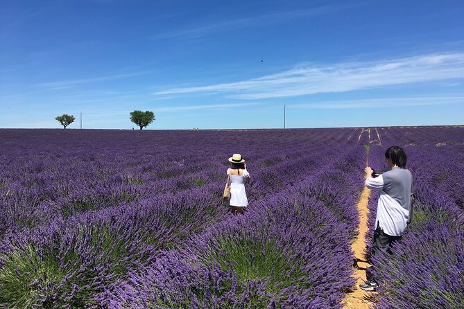 5-Hours Lavender Fields Tour in Valensole from Aix-en-Provence - Key Highlights Worth Getting Excited About