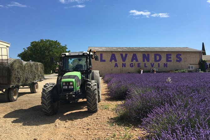 5-Hours Lavender Fields Tour in Valensole from Aix-en-Provence - Stop 2 in Valensole Village: Lavender Treats and Easy Wandering