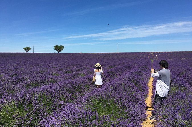 5-Hours Lavender Fields Tour in Valensole from Aix-en-Provence - Price and Value: Is $114.14 Worth It?