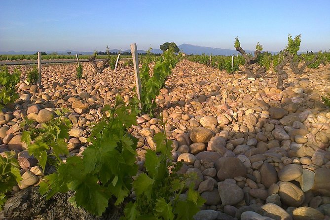 A Day in Provence Small Group Tour from Marseille - Les Baux-de-Provence: Cobblestones, Castle Ruins, and View Stops
