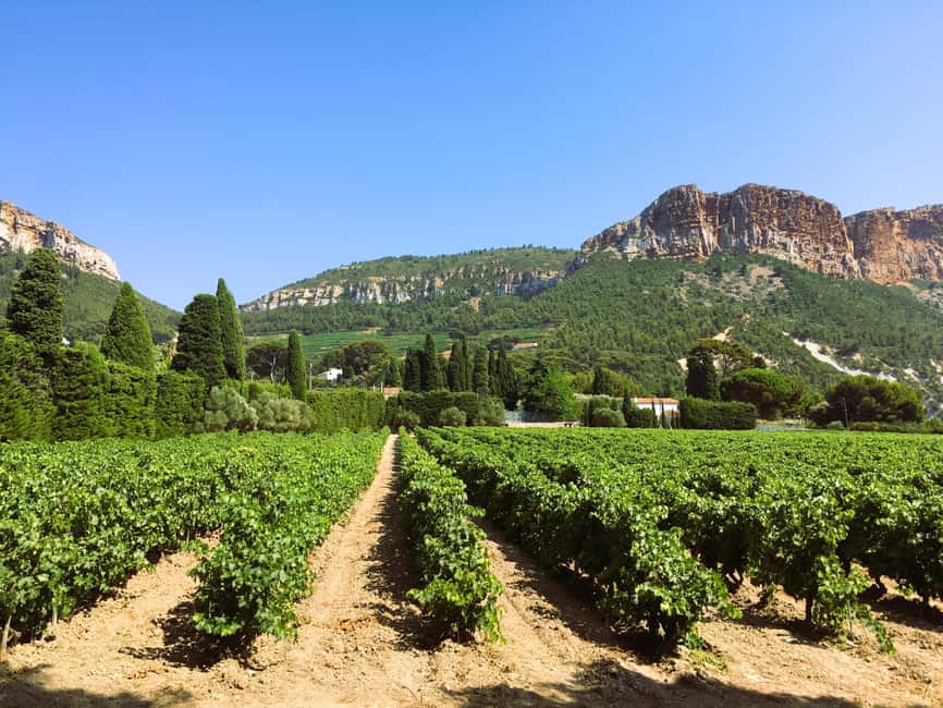 Aix-en-Provence: Half Day Wine Tour in Bandol and Cassis - Why Bandol and Cassis Work So Well in 5 Hours
