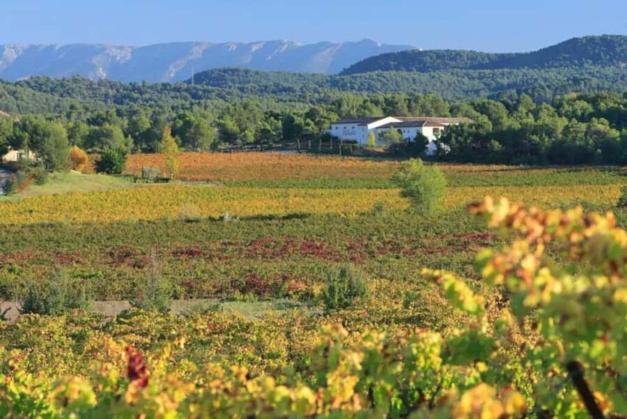 Aix-en-Provence: Half Day Wine Tour in Coteaux d'Aix - Start in Aix: meeting point and what to wear
