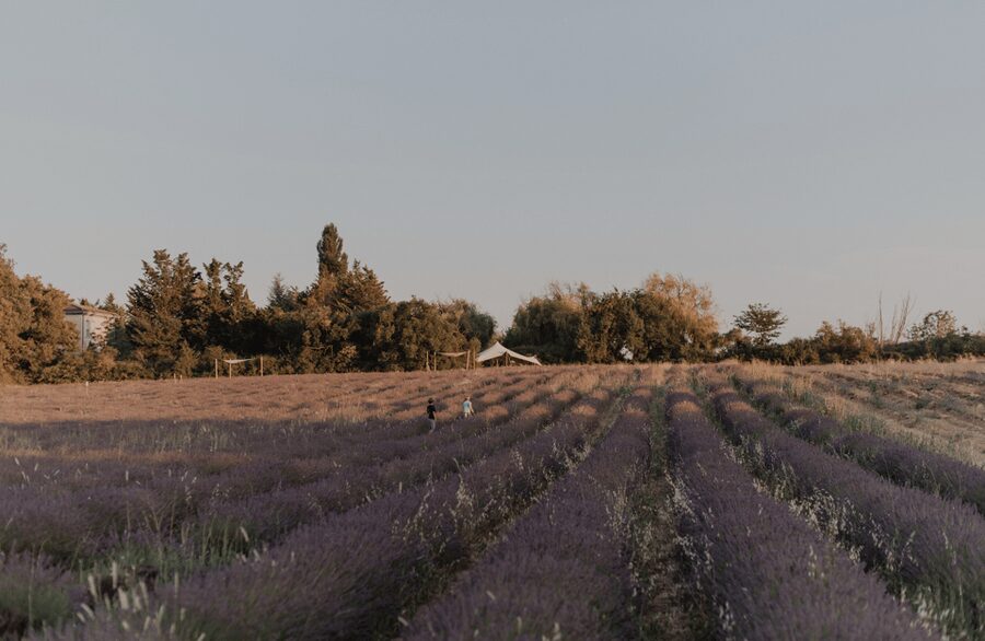 Aix-en-Provence: Lavender Fields Visit - Food, snacks, and shopping: a small meal plan for a relaxed afternoon