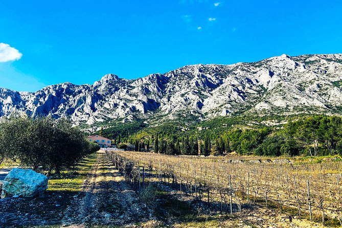 Aix-en-Provence - Mt Sainte Victoire wines in search of Cézanne - Provence wine, minus the stress: what this tour is really for