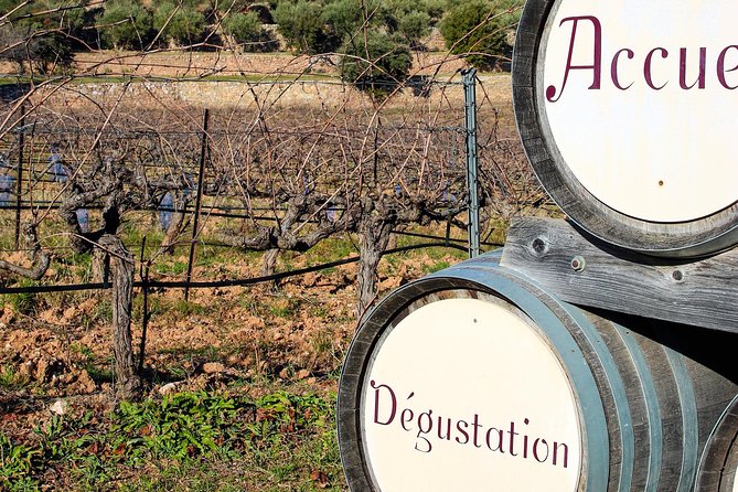 Aix-en-Provence - Mt Sainte Victoire wines in search of Cézanne - Stop 1: Domaine de Saint Ser for a first tasting with context