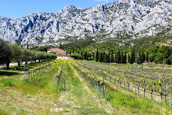 Aix-en-Provence - Mt Sainte Victoire wines in search of Cézanne - Puyloubier lunch on a terrace: the break that keeps the day relaxed