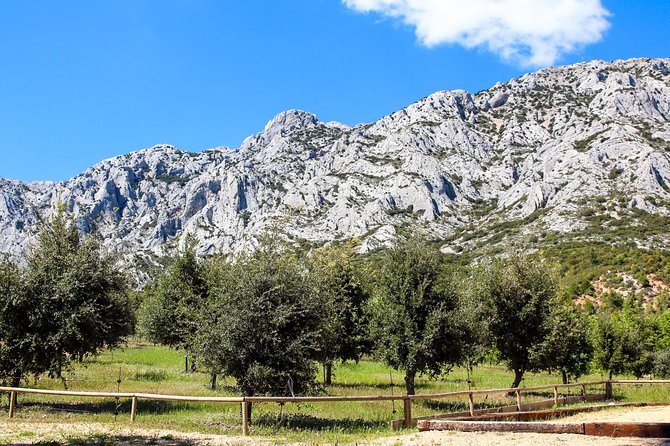 Aix-en-Provence - Mt Sainte Victoire wines in search of Cézanne - What you learn beyond wine: how the guide makes it click