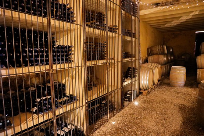 Aix-en-Provence old town, wine & art of Châteaux Beaupré & Bonisson private tour - Private Transportation and Mobile Tickets: The Comfort Factor