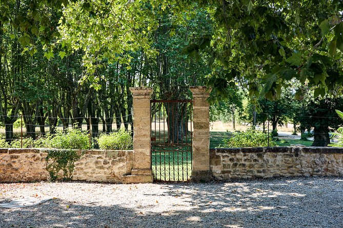 Aix-en-Provence old town, wine & art of Châteaux Beaupré & Bonisson private tour - Château Bonisson and the Contemporary Art Centre: Why This Stop Feels Different