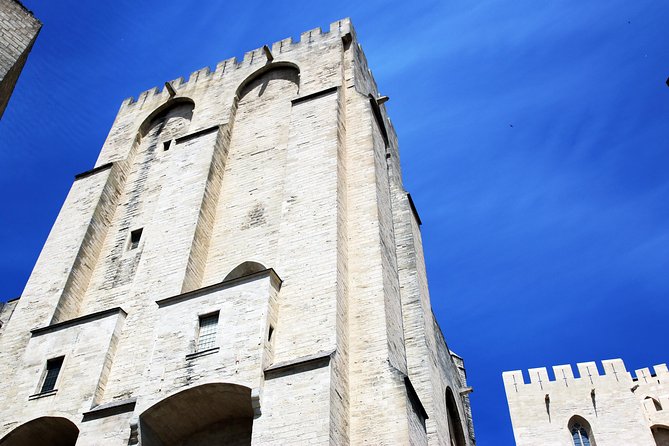 Avignon's history, local culture & the wines of Châteauneuf du Pape private tour - Les Halles market time: shop, snack, and get your bearings