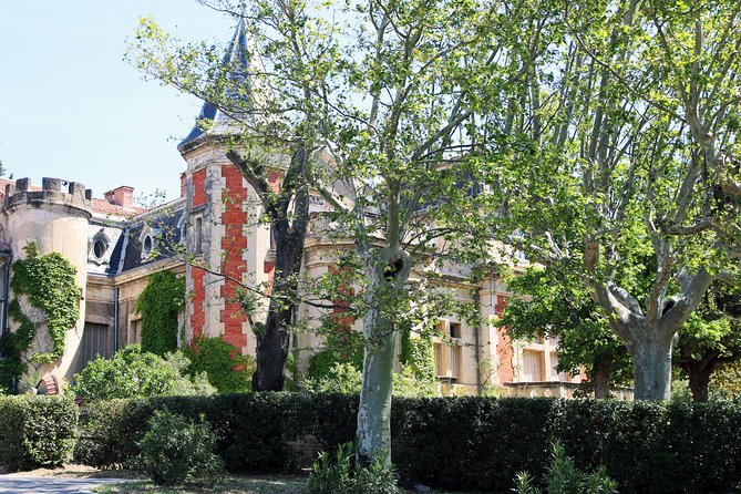 Avignon's history, local culture & the wines of Châteauneuf du Pape private tour - Why this feels truly private: guide attention and real flexibility