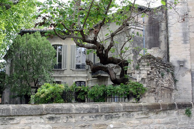 Avignon's history, local culture & the wines of Châteauneuf du Pape private tour - Practical tips for a smooth Avignon and wine day