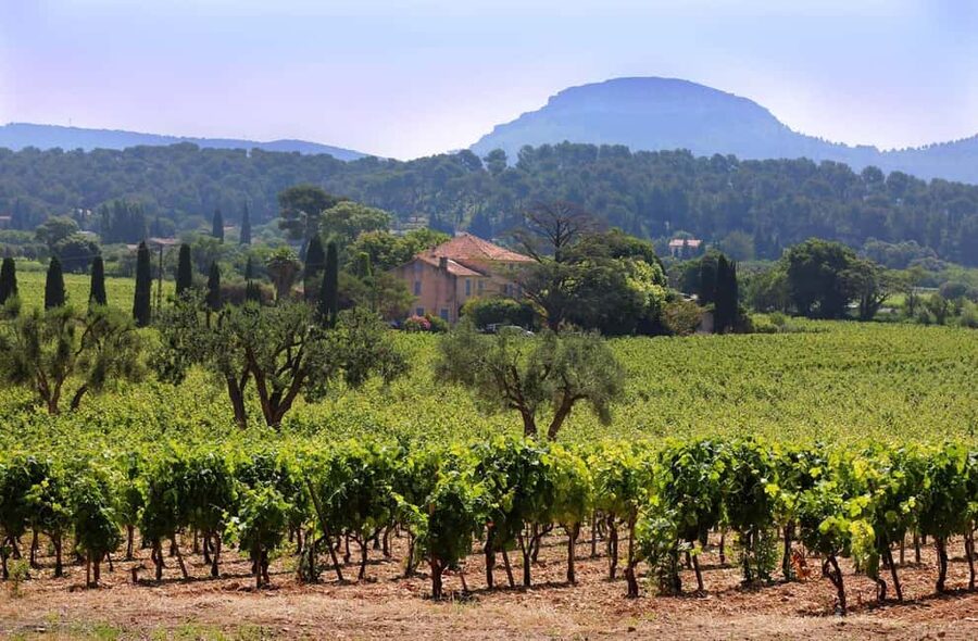 Bandol and Cassis: Full Day Wine Tour from Marseille - From Place du Mazeau to Provence wine country: the easy start