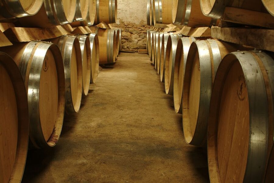Bandol and Cassis: Full Day Wine Tour from Marseille - What you get for $194: the value is in the tastings plus the education