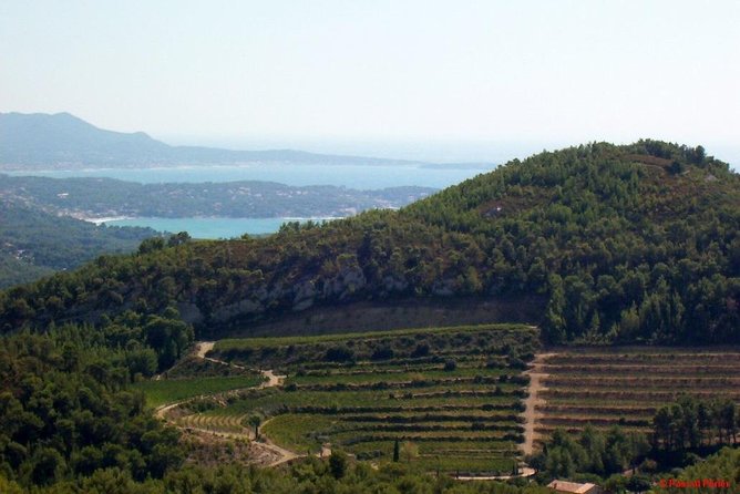 Bandol Wine Tour - 4 hour Private tour - Price and value: $637.24 for up to 8 people