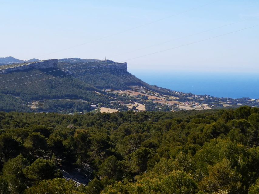 Calanques National Park: E-Mountain Bike with Virtual Guide - Wine Tasting and Free Time: Turning Stops Into Local Time