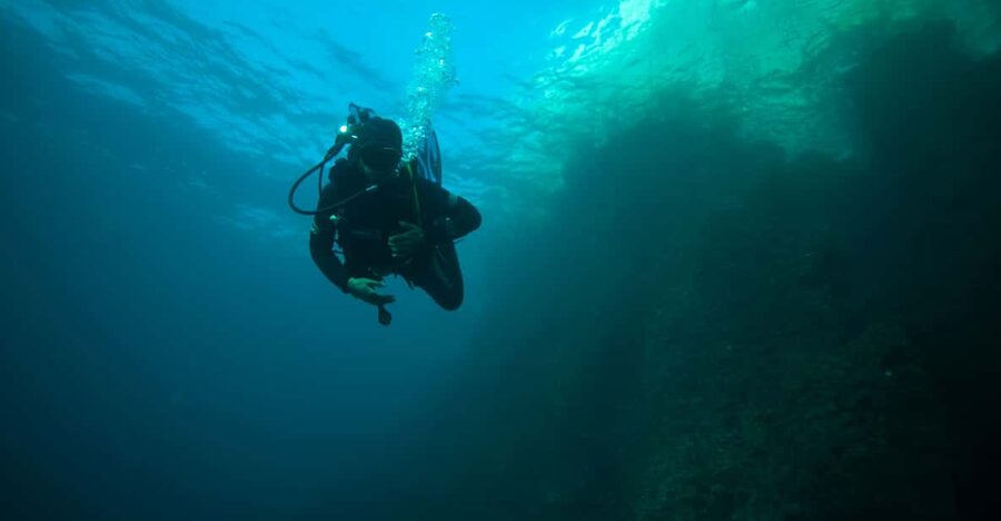 Calanques National Park Snorkel and Scuba Dive - The boat ride and safety briefing: what you’re really paying for