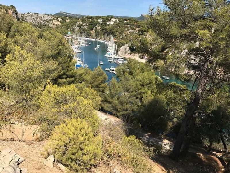 Cassis: Calanques and Viewpoints Tour by Mountain E-Bike - Into Calanques National Park: Vineyard to Viewpoints on Less Busy Paths