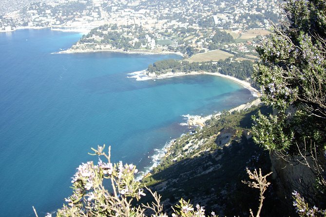 Cassis Half-Day Trip from Aix-en-Provence - Small group + guide style: the difference between a trip and an experience