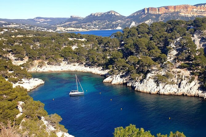 Cassis hike: Port-Miou, Port-Pin, En-Vau - Should you book this Cassis Calanques hike?