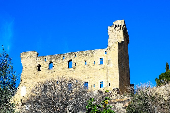 Châteauneuf Du Pape intensive vineyard & fine wine experience - Price and value: what $660.77 per person buys you