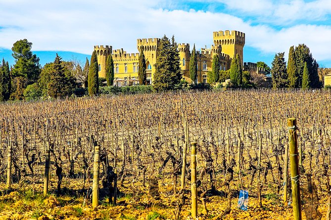 Châteauneuf Du Pape intensive vineyard & fine wine experience - Why the private transport matters more than you think