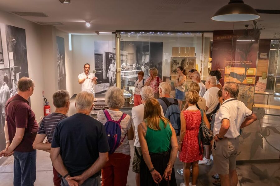 Confiserie du Roy René: gourmet guided tour of the calisson museum - Key things to know before you go