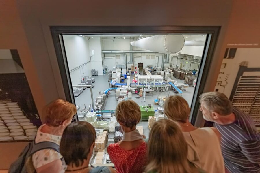 Confiserie du Roy René: gourmet guided tour of the calisson museum - The French-only tour reality (and how to handle it)