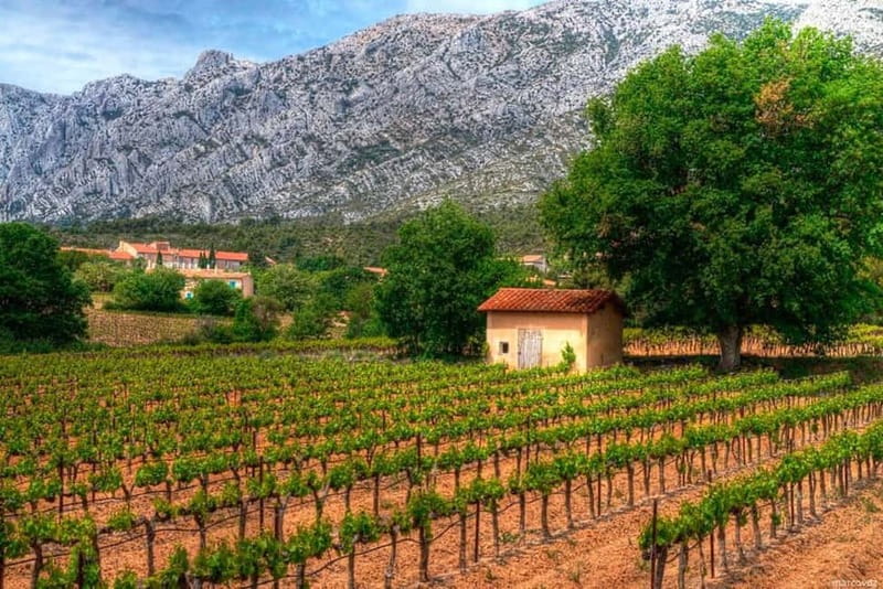 Coteaux d'Aix: Ste Victoire Wine Tour & Cezanne route - Practical Tips That Will Help You Get More From Every Stop