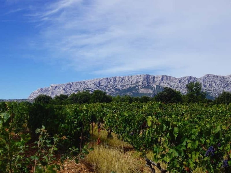 Coteaux d'Aix: Ste Victoire Wine Tour & Cezanne route - Private Group Value: Why the $683 Price Can Make Sense