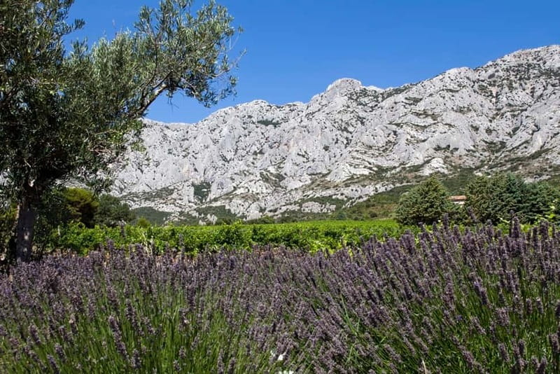 Coteaux d'Aix: Ste Victoire Wine Tour & Cezanne route - Who This Tour Suits Best (and Who Might Want a Different Plan)