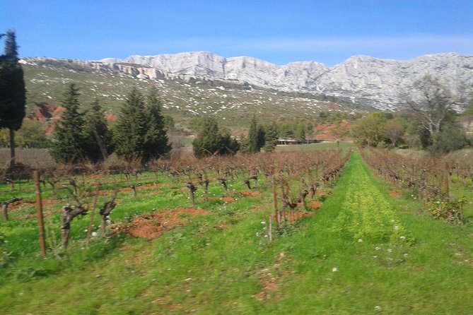 Cotes de Provence Wine Tour from Aix-en-Provence - How Two 1-Hour Tastings Work in Côtes de Provence