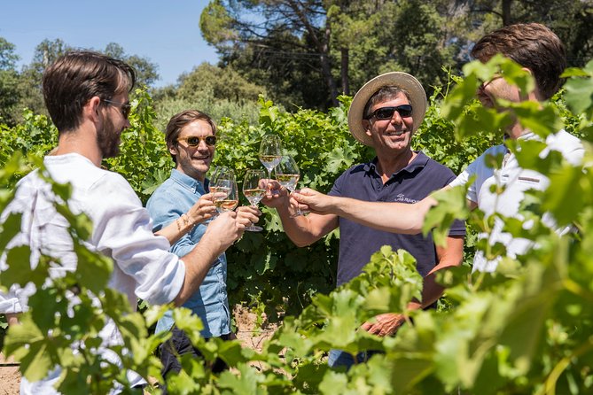 Cotes de Provence Wine Tour from Aix-en-Provence - Your Guide Makes or Breaks a Short Wine Tour