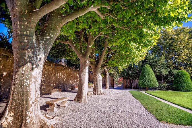 Explore Aix-en-Provence in 60 minutes with a Local - Key highlights worth your hour