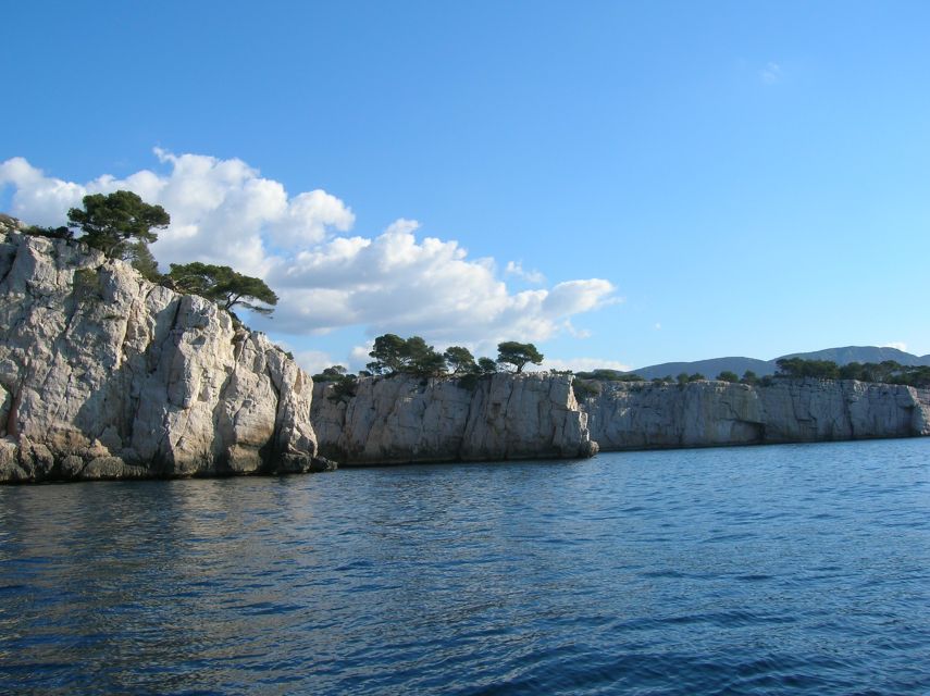 From Aix: Cassis Boat Ride & Provence Wine Tasting Day Tour - Small-group van dynamics: why up to 8 matters