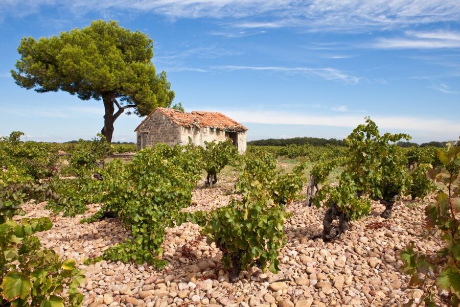 From Aix-en-Provence: Châteauneuf du Pape Wineries Day Trip - Should you book this Aix to Châteauneuf-du-Pape day trip?