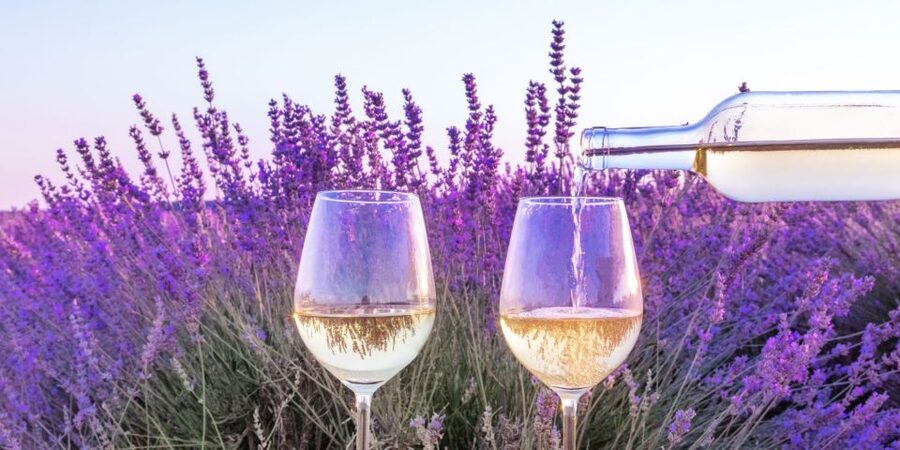 From Aix-en-Provence: Châteauneuf du Pape Wineries Day Trip - Getting from Aix: a tight 8-hour schedule that still feels relaxed