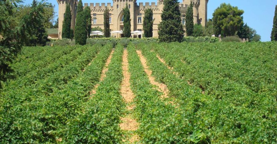 From Aix-en-Provence: Châteauneuf du Pape Wineries Day Trip - Two winery tastings: how the format helps you compare estates