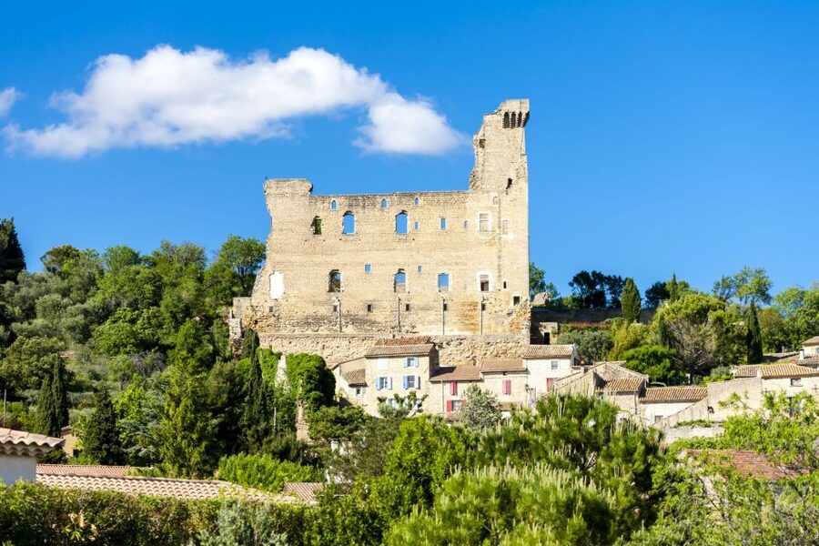 From Aix-en-Provence: Châteauneuf du Pape Wineries Day Trip - Price and value: what $187 gets you in the Rhône valley