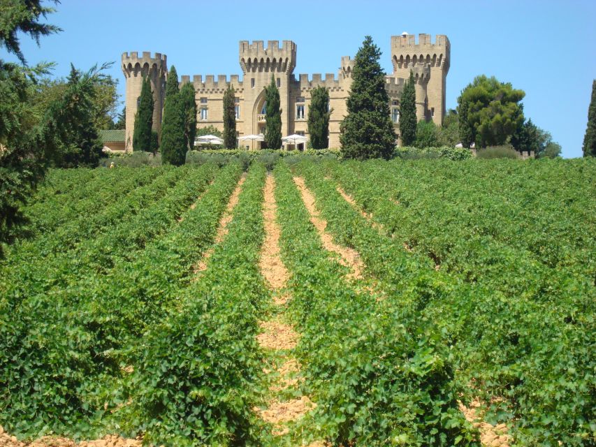 From Aix-en-Provence: Châteauneuf du Pape Wineries Day Trip - Who this day trip suits best (and who might feel cramped)