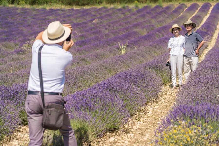From Aix-en-Provence: Lavender Half Day Tour - Bloom Timing and Route Changes: Stay Flexible, Still Have a Great Time