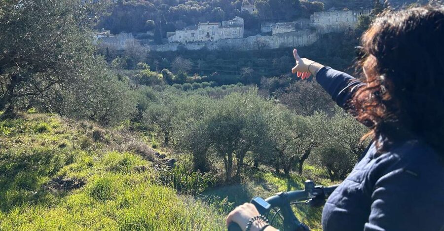 From Aix-en-Provence: Luberon Region E-Bike Full-Day tour - Key Points at a Glance