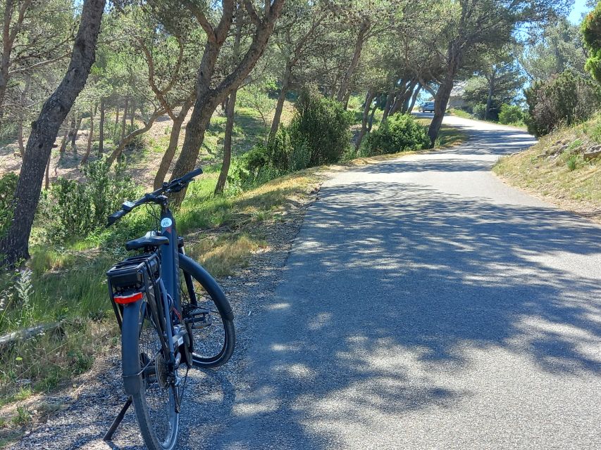 From Aix-en-Provence: Luberon Region E-Bike Full-Day tour - Lacoste Viewpoints and the Marquis de Sade Castle Remains