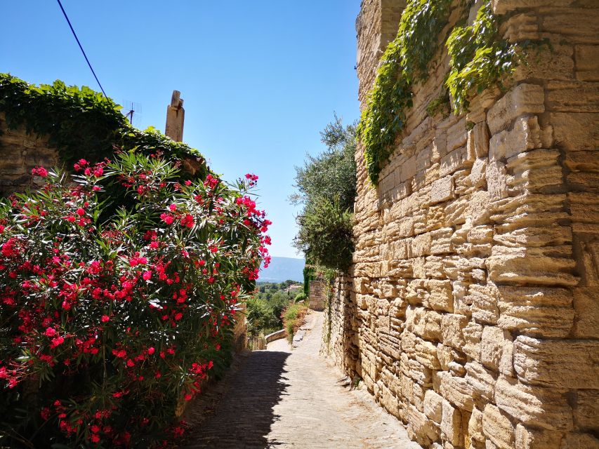 From Aix en Provence: Luberon Villages Full-Day Guided Tour - Timing, Meeting Point, and Day-of Reality