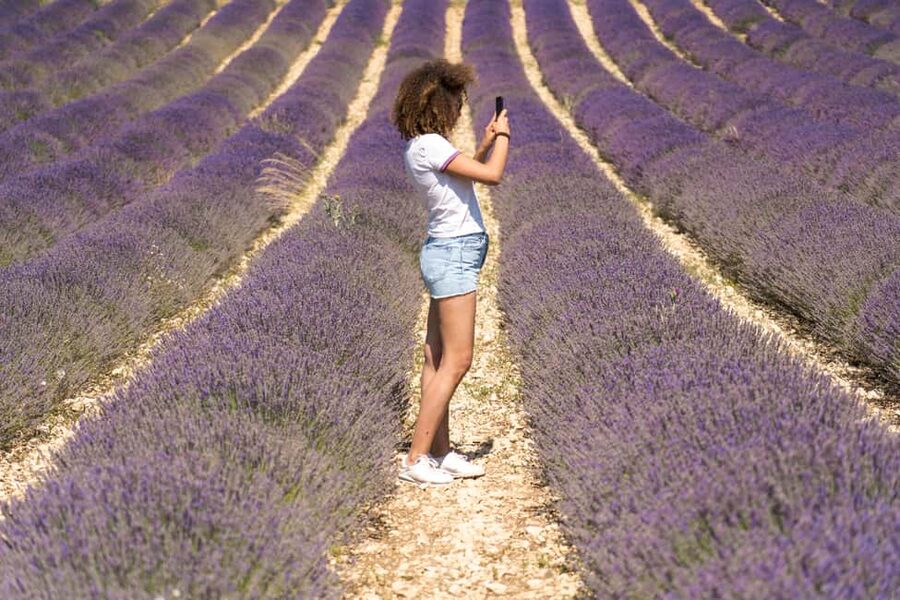 From Aix-en-Provence: Valensole Lavender Full-Day Tour - So, Should You Book the Valensole Lavender Full-Day Tour?