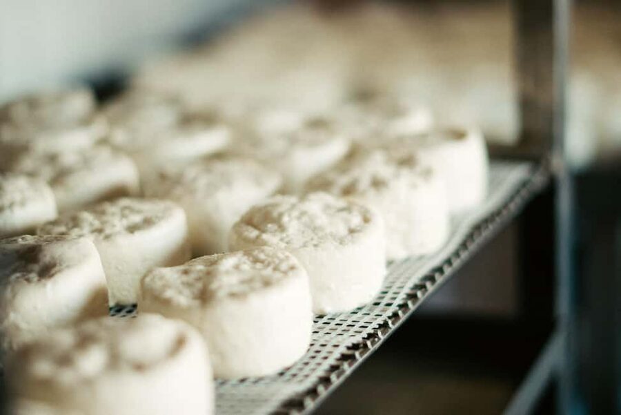 From Marseille: Aix en Provence Wine and Cheese Tour - Price and value: is $176 per person fair for this day?