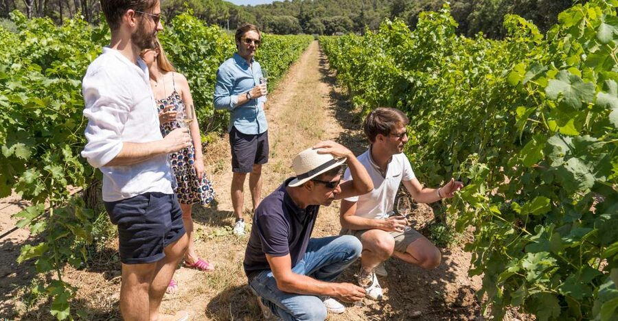 From Marseille: Bandol & Cassis Full-day Wine tour - Key Things I’d Remember About This Bandol and Cassis Tour