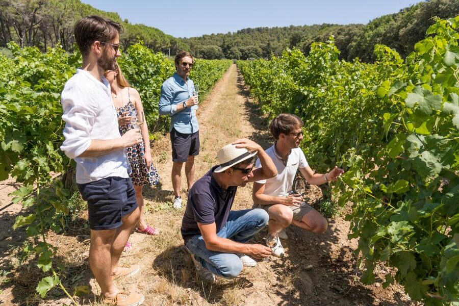 From Marseille: Bandol & Cassis Full-day Wine tour - Coastal Start From Marseille: Gineste Road and Cape Canaille Views
